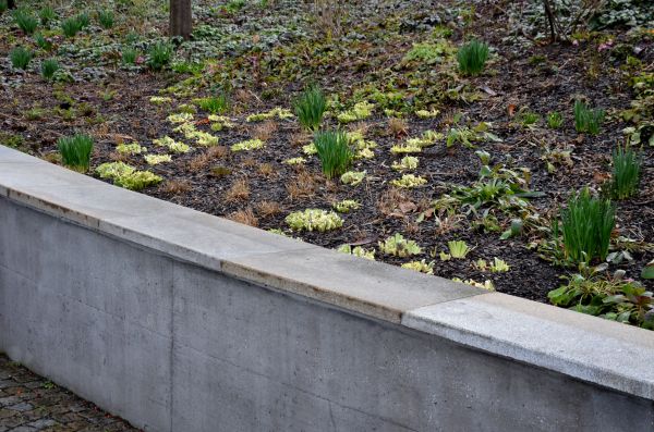 Concrete Wall Construction in Lake Stevens