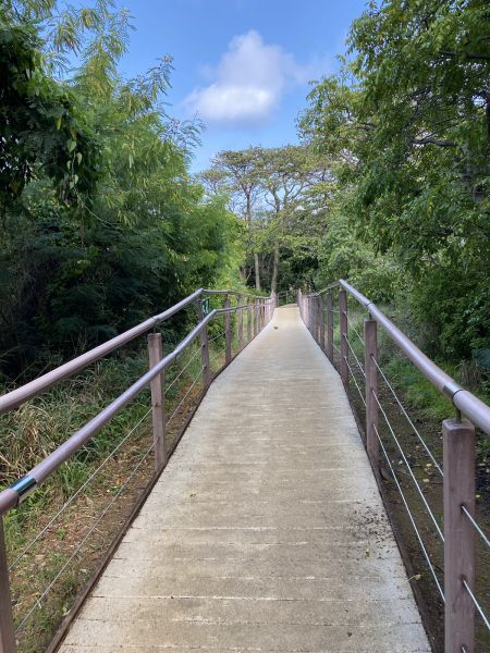 Footpath Construction in Lake Stevens