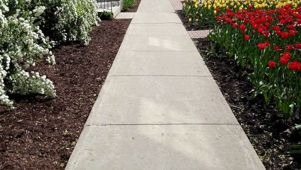 Cement Sidewalk Installation in Lake Stevens