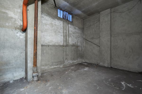 Basement Wall Construction in Lake Stevens