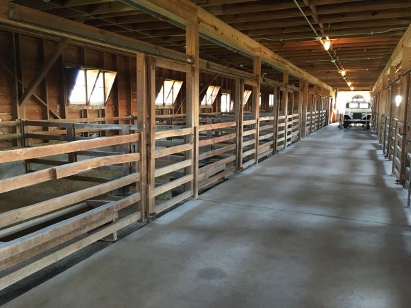 Barn Slab Construction in Lake Stevens
