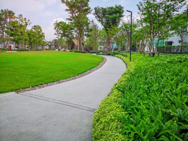 Cement Walkway Service in Lake Stevens