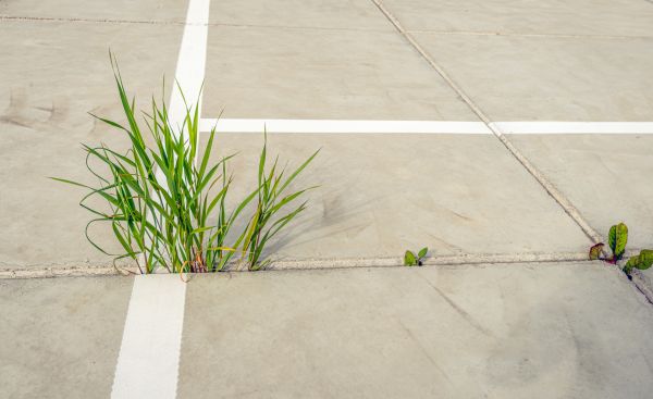 Concrete Parking Installation in Lake Stevens